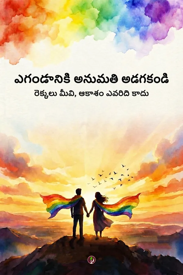 ఎగరడానికి అనుమతి అడగకండి